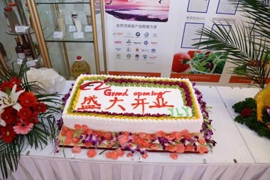 精美的開(kāi)業(yè)蛋糕 精美的開(kāi)業(yè)蛋糕